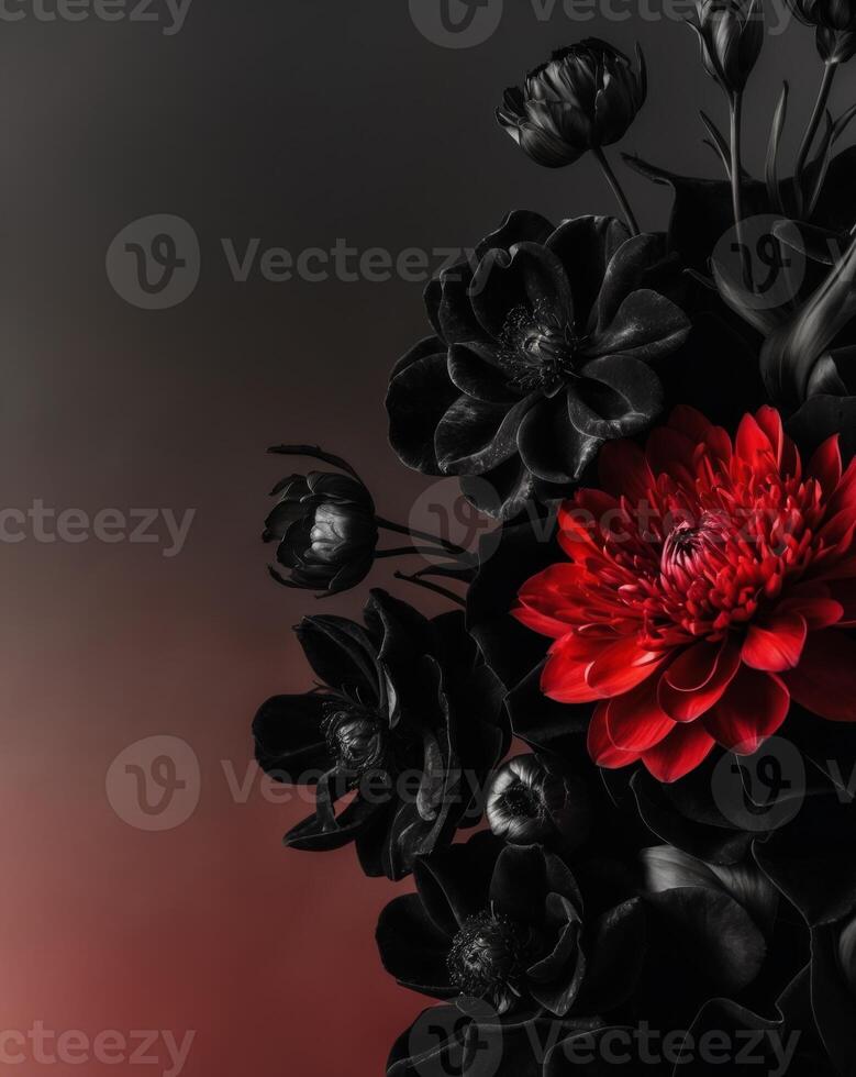 A red flower is surrounded by black flowers photo