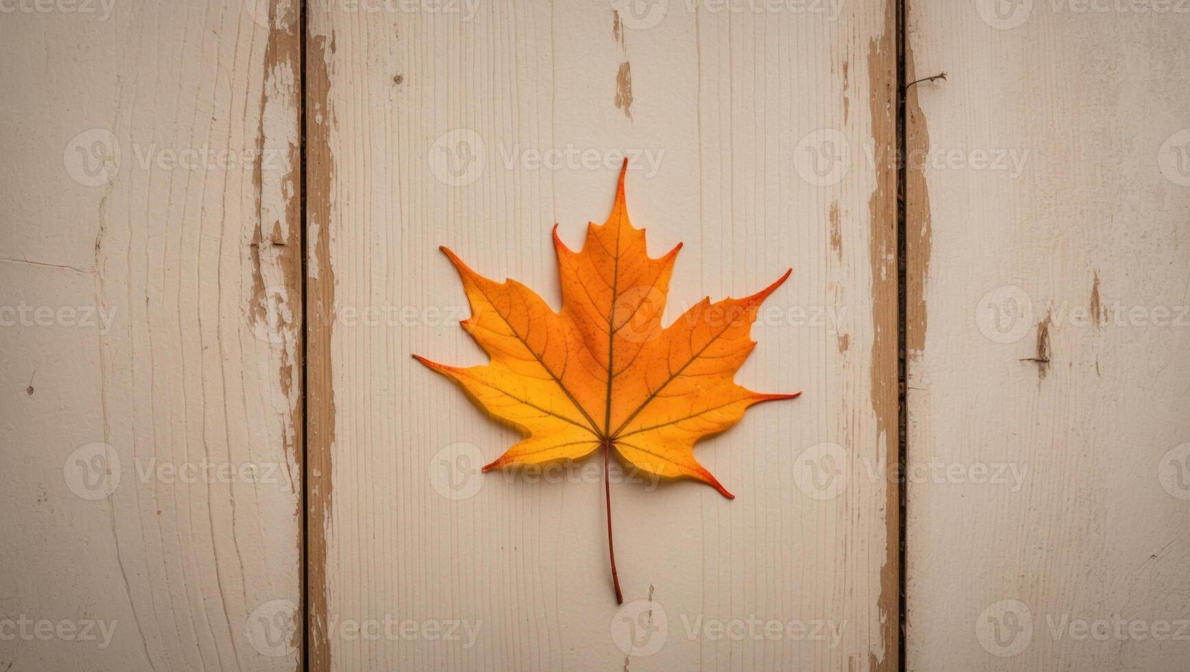 Autumn maple leaf on wooden background photo