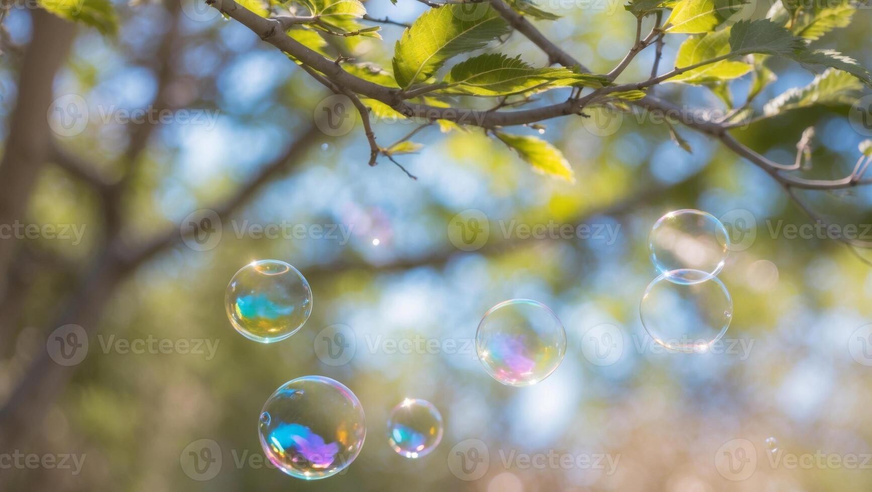 Soap bubbles floating in the air on a tree branch photo