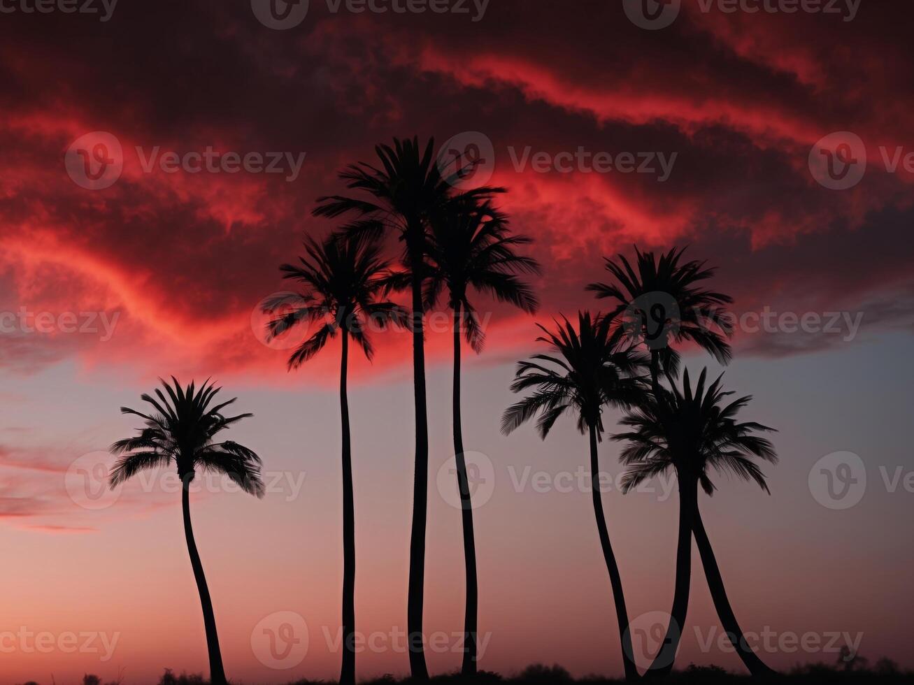 Palm trees against a red sky at sunset photo
