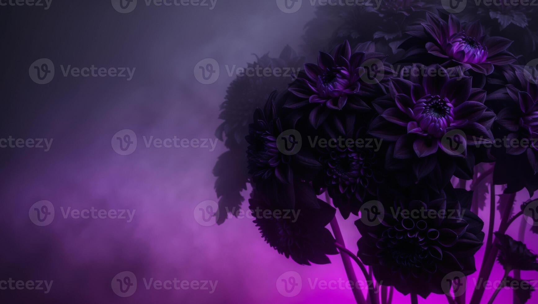 A purple and black background with flowers photo