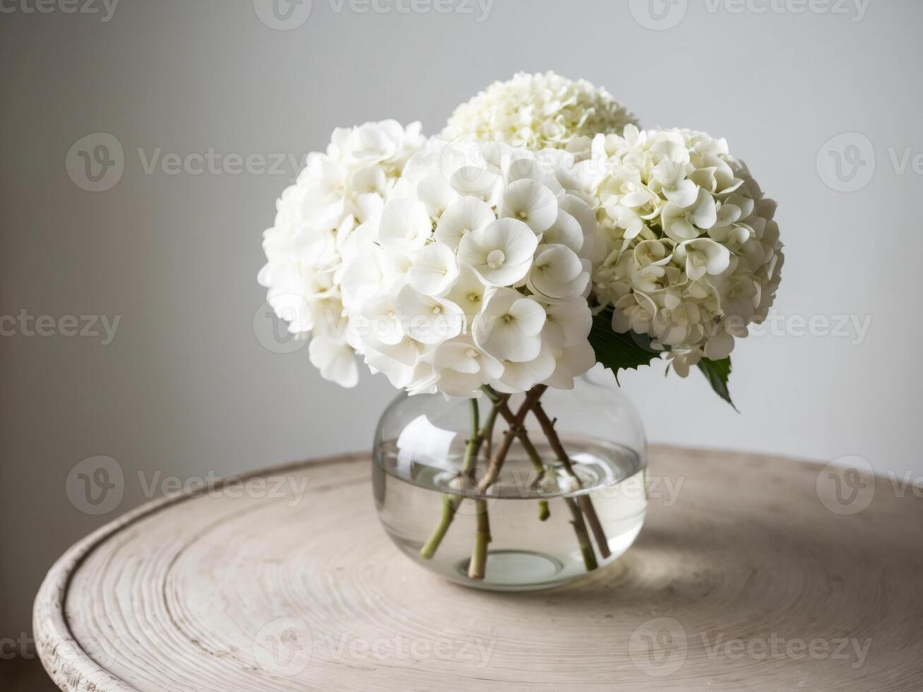 White hydrangea in a glass vase photo