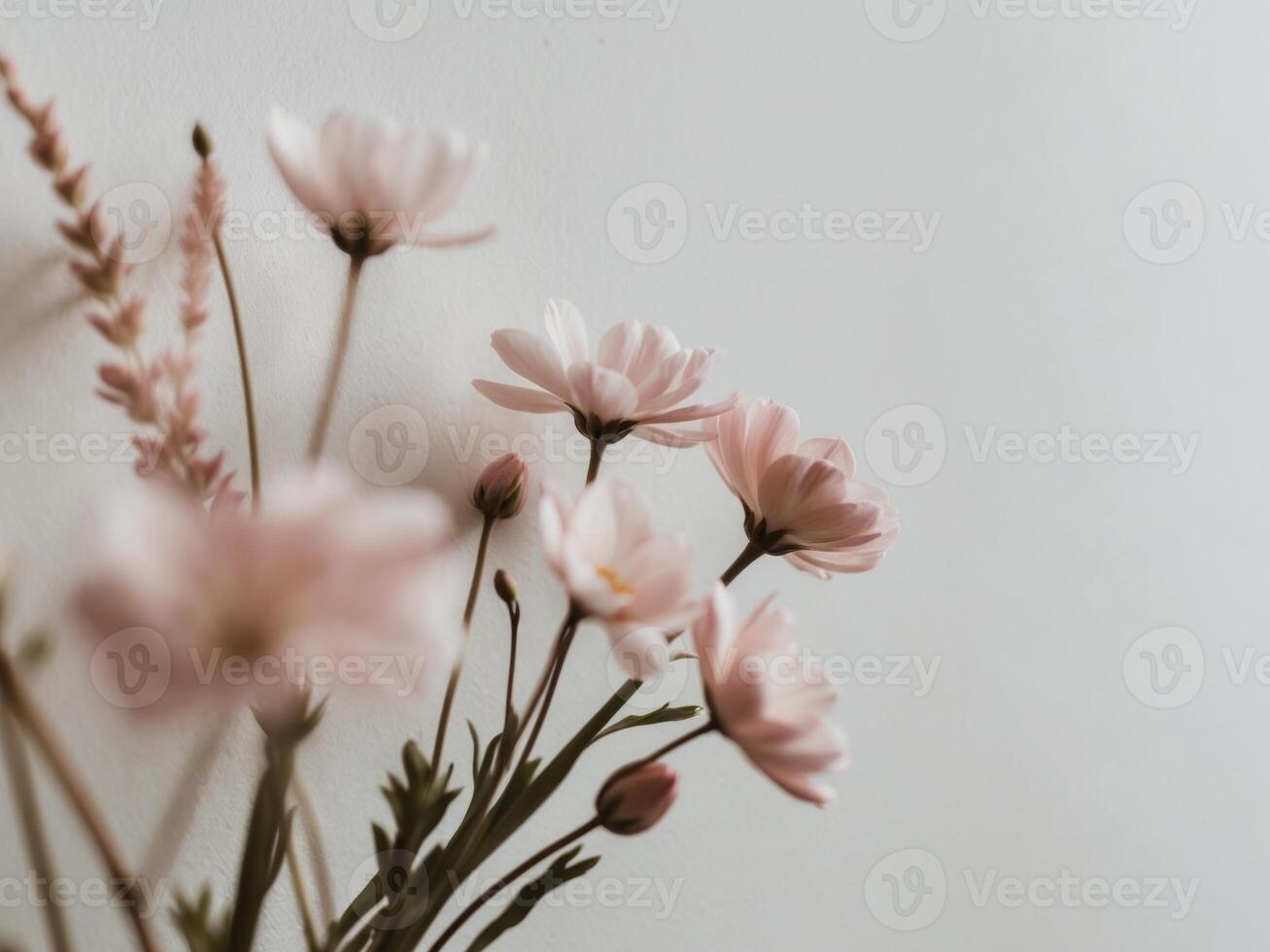 Pink flowers in a vase on a white wall photo