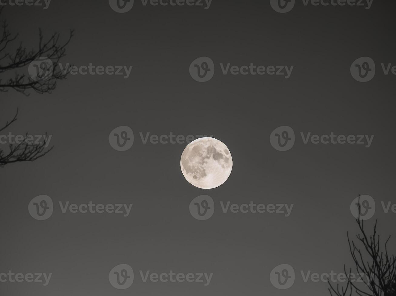 A black and white photo of the moon