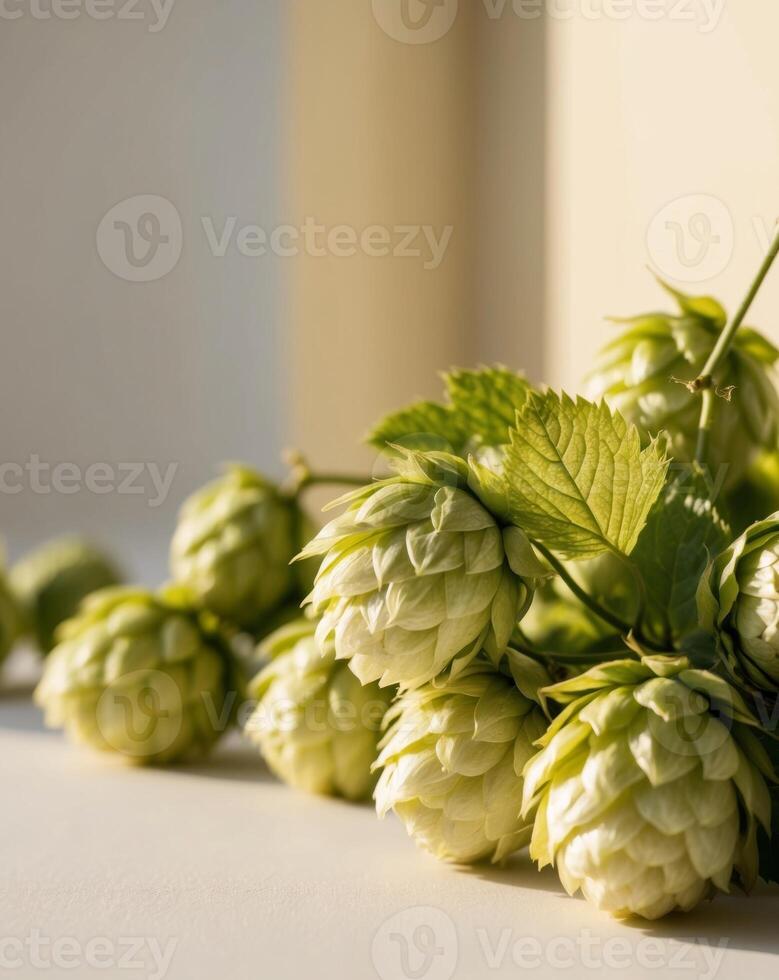 Fresh hop cones on a table photo