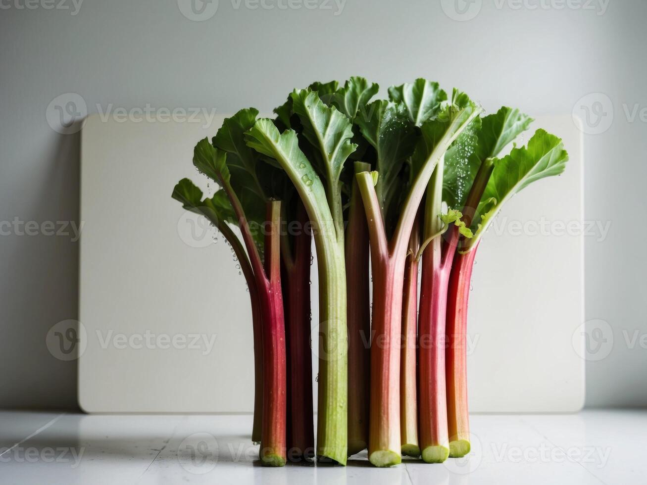 A bunch of rhubarb in a vase on a table photo