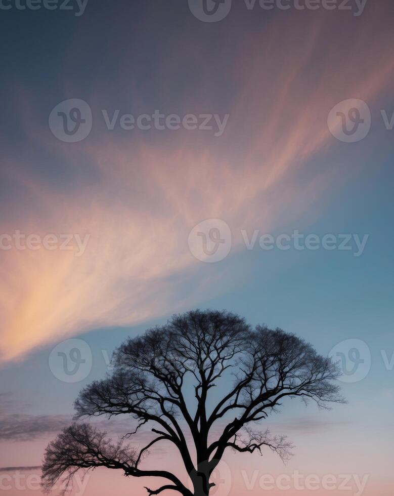 A lone tree in the middle of a field photo