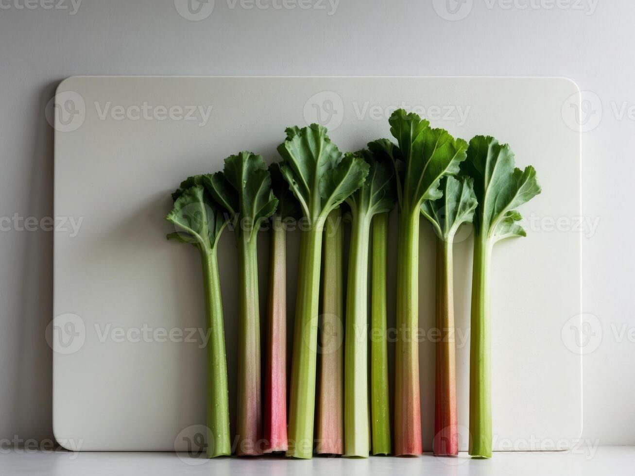 A group of rhubarb leaves on a white board photo