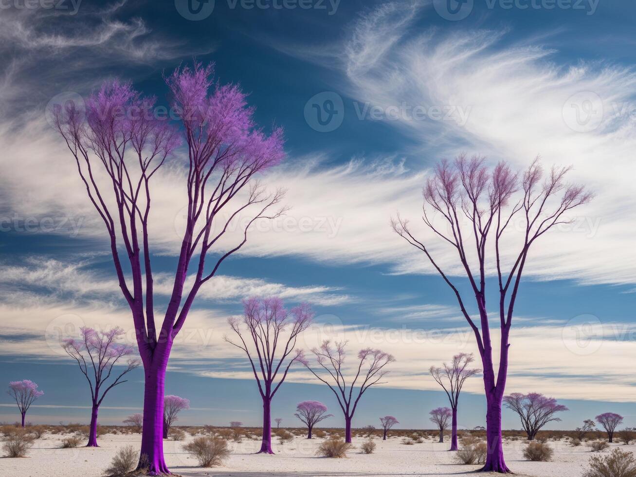 A group of purple trees in the desert photo