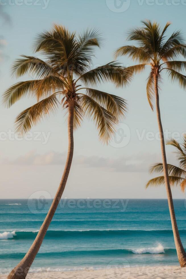 Two palm trees on a beach with the ocean in the background photo