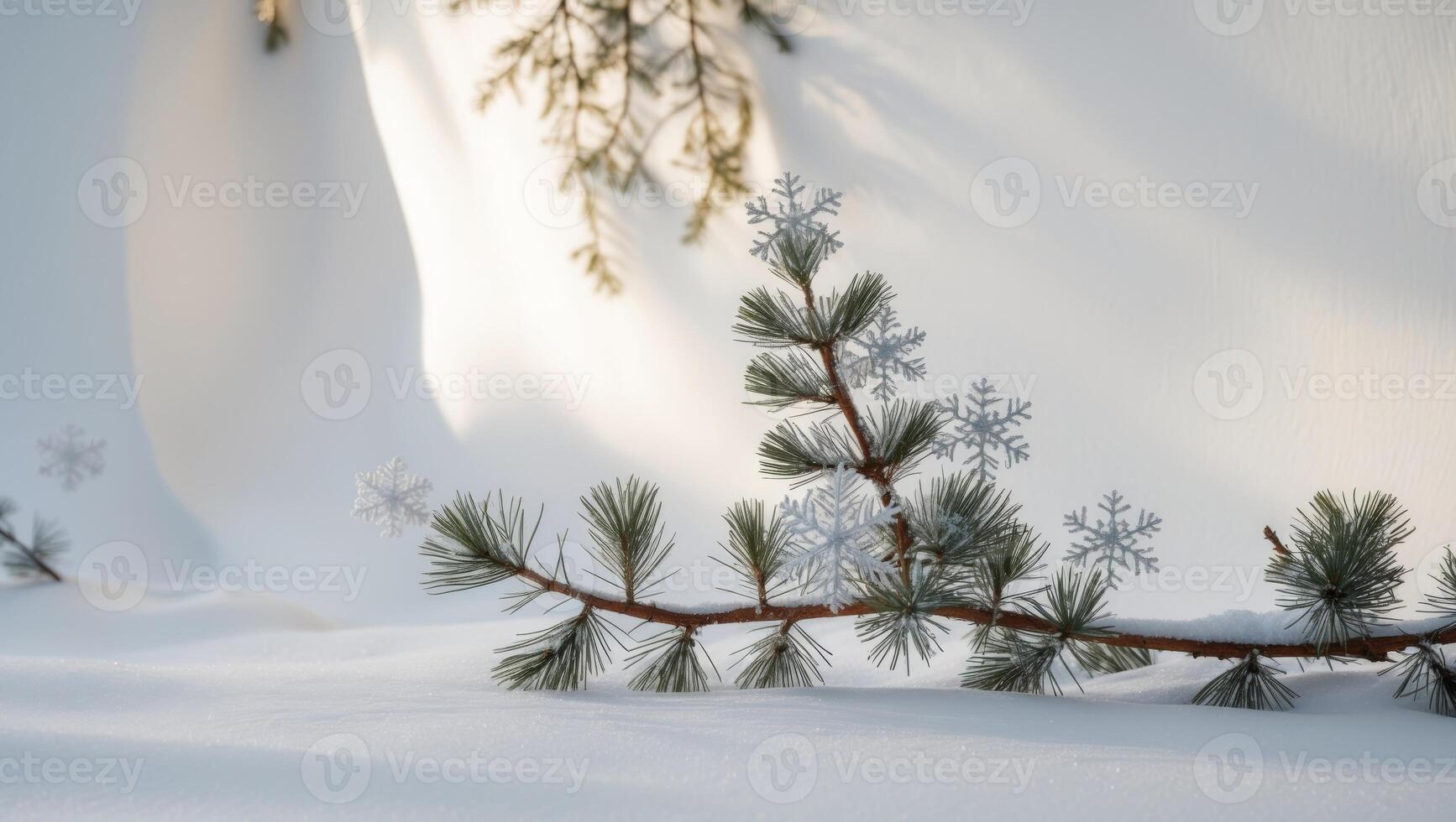 A pine branch with snowflakes on it in the snow photo