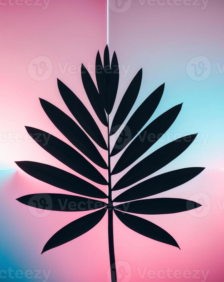 A palm leaf is shown on a pink and blue background photo