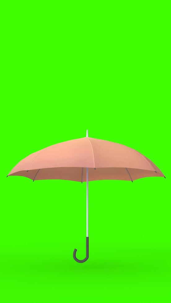umbrella with green background photo