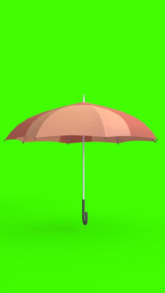 umbrella with green background photo