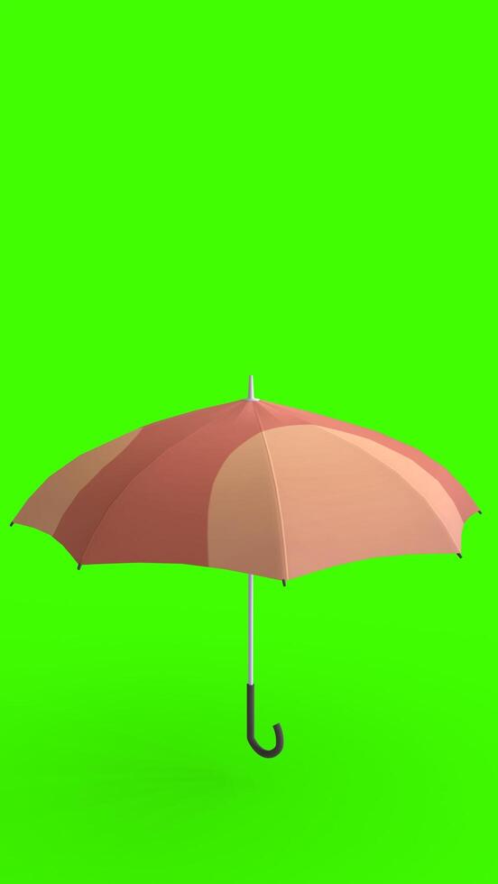 umbrella with green background photo