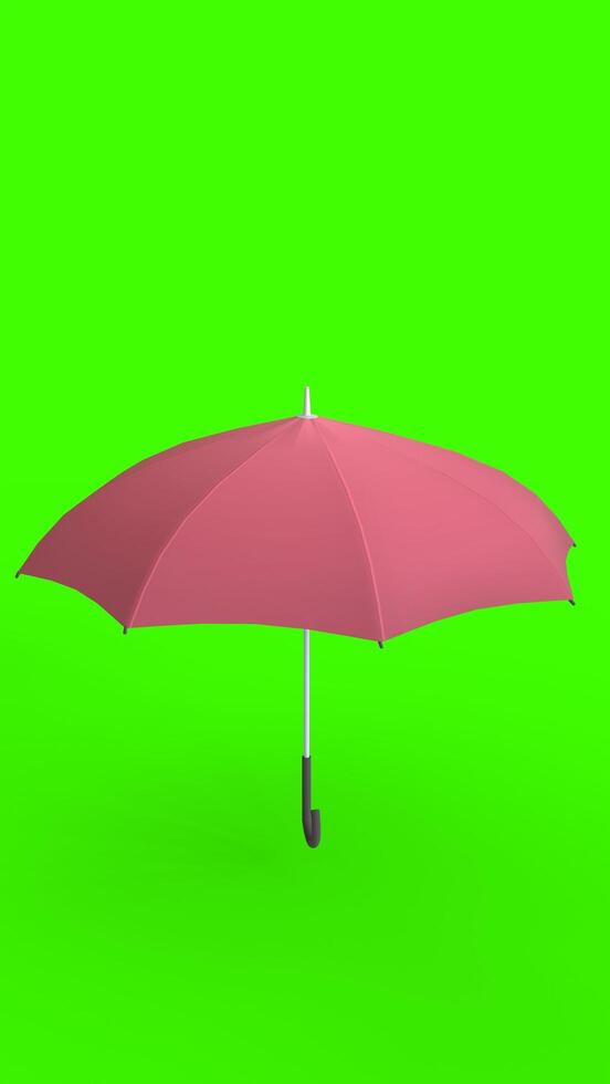 umbrella with green background photo