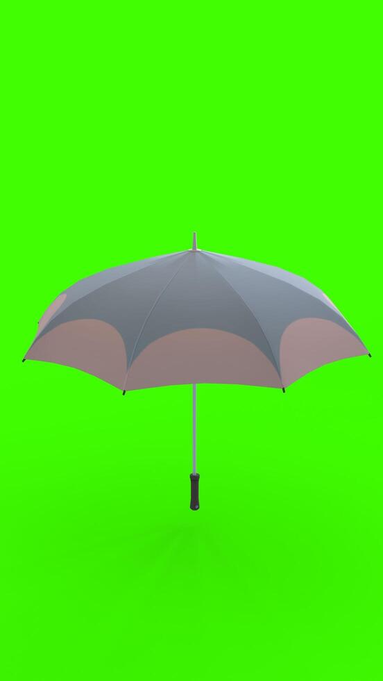 umbrella with green background photo