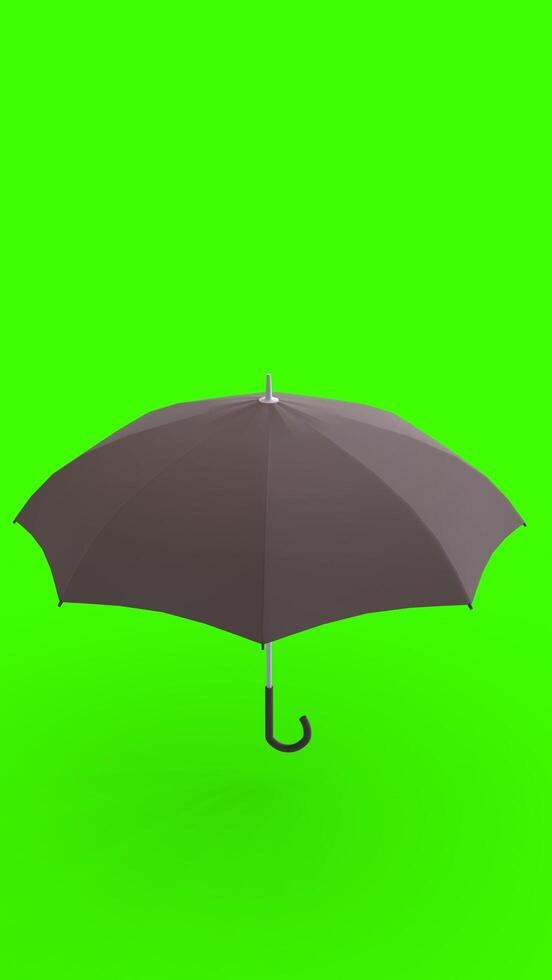 umbrella with green background photo