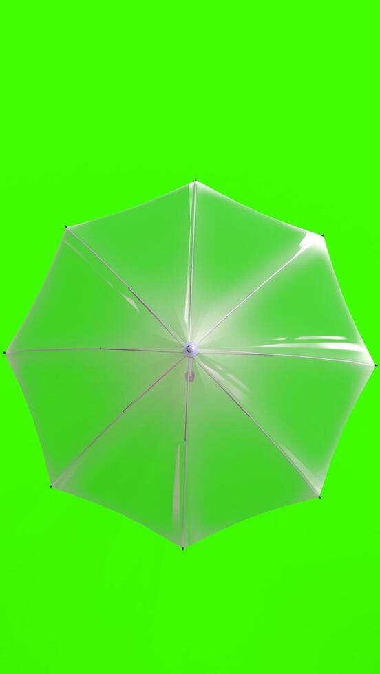 umbrella with green background photo