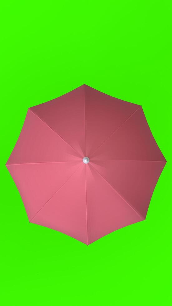 umbrella with green background photo