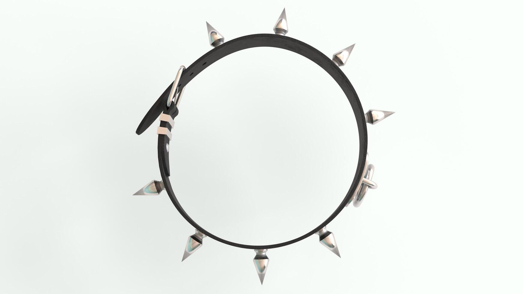 dog leather collar with white background photo