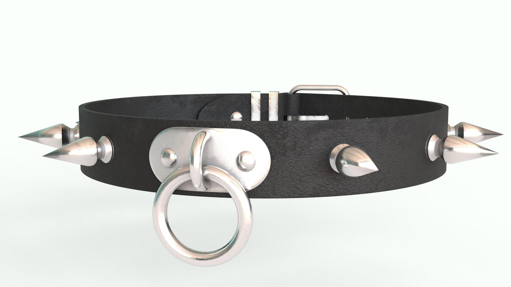 dog leather collar with white background photo