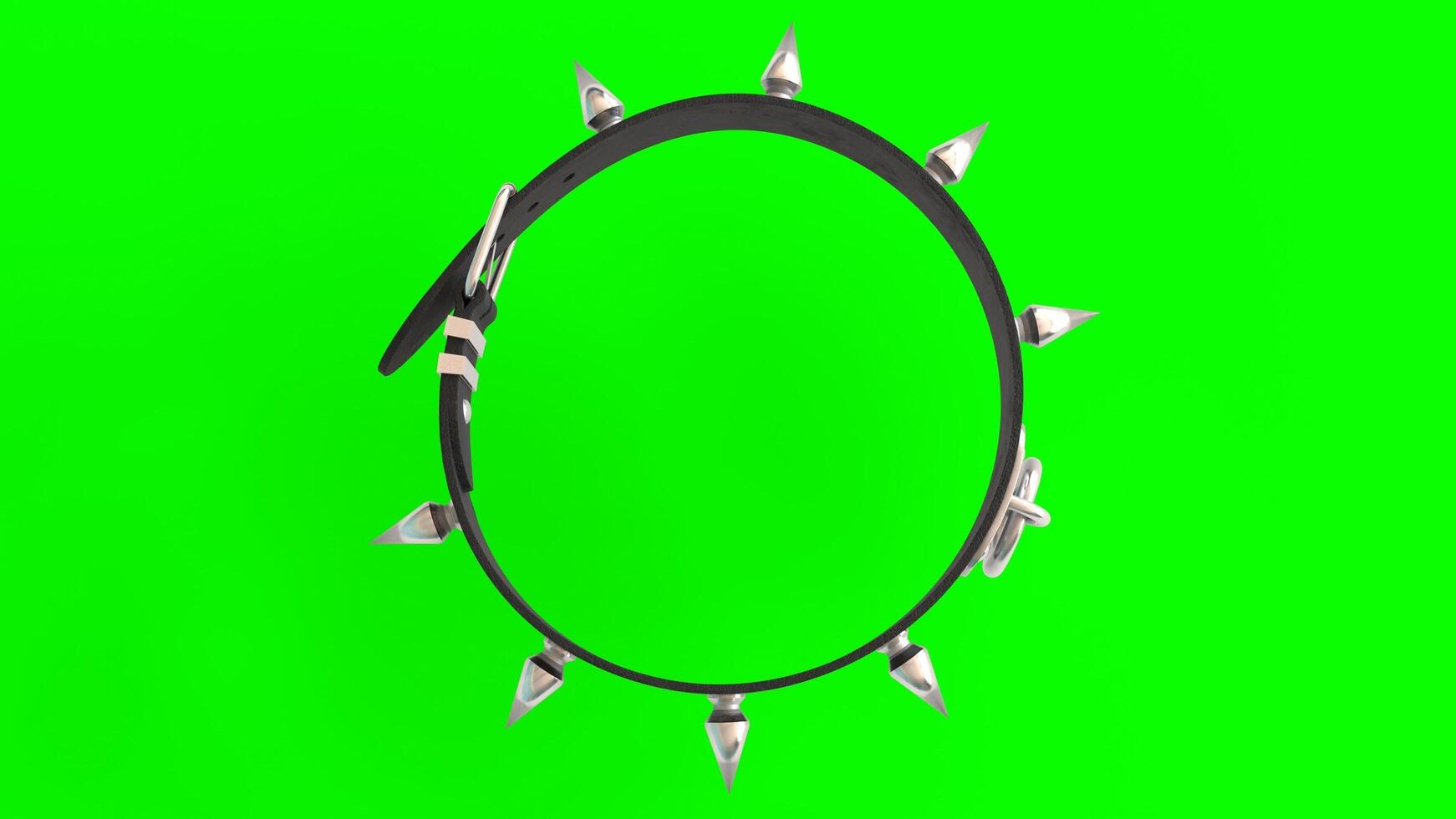dog leather collar with green background photo