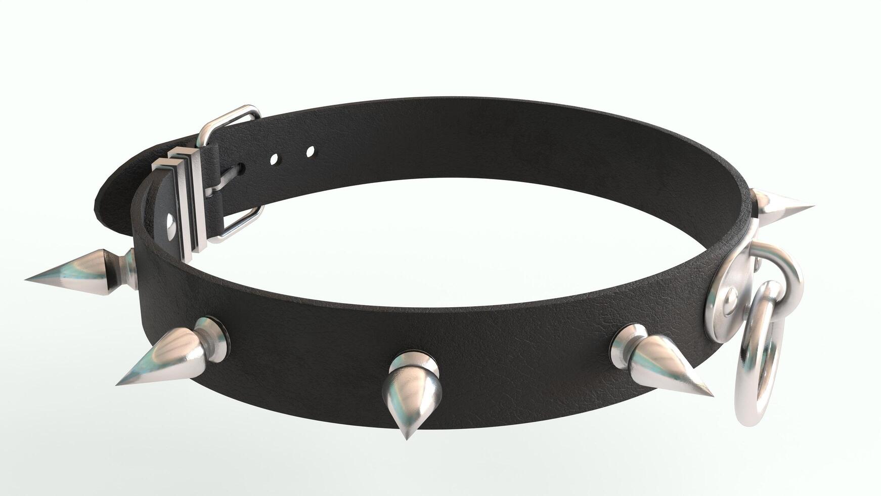dog leather collar with white background photo
