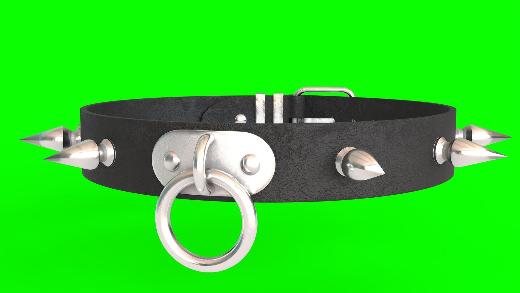dog leather collar with green background photo