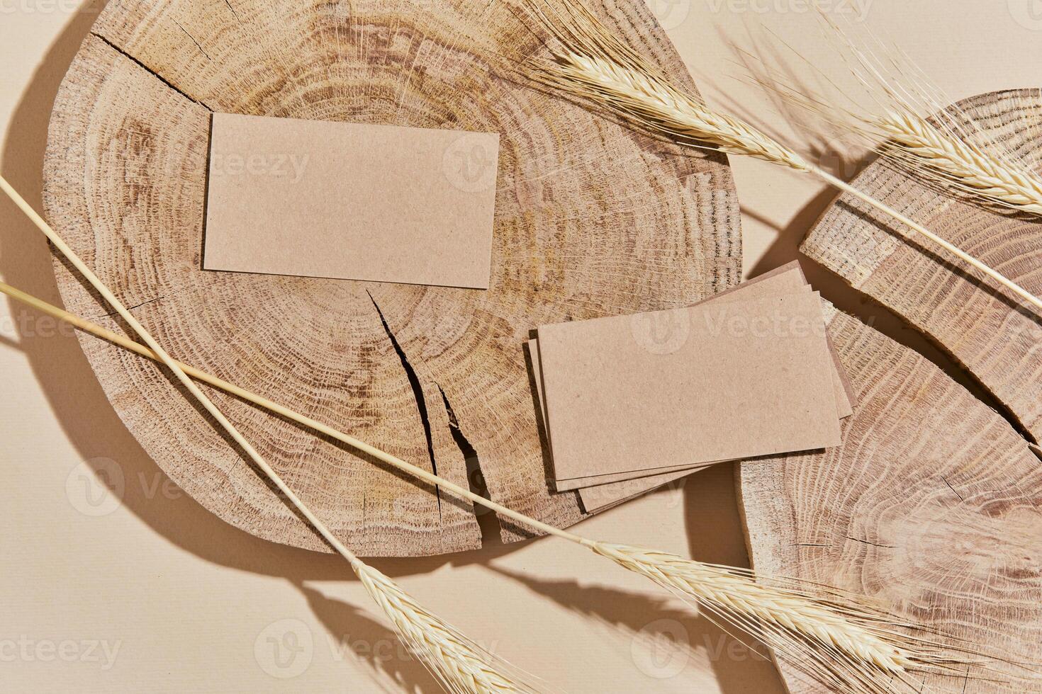 Flat lay of creative composition with mock up visit cards, wood, natural materials, dry plants and personal accessories. Neutral colors, top view, template. photo