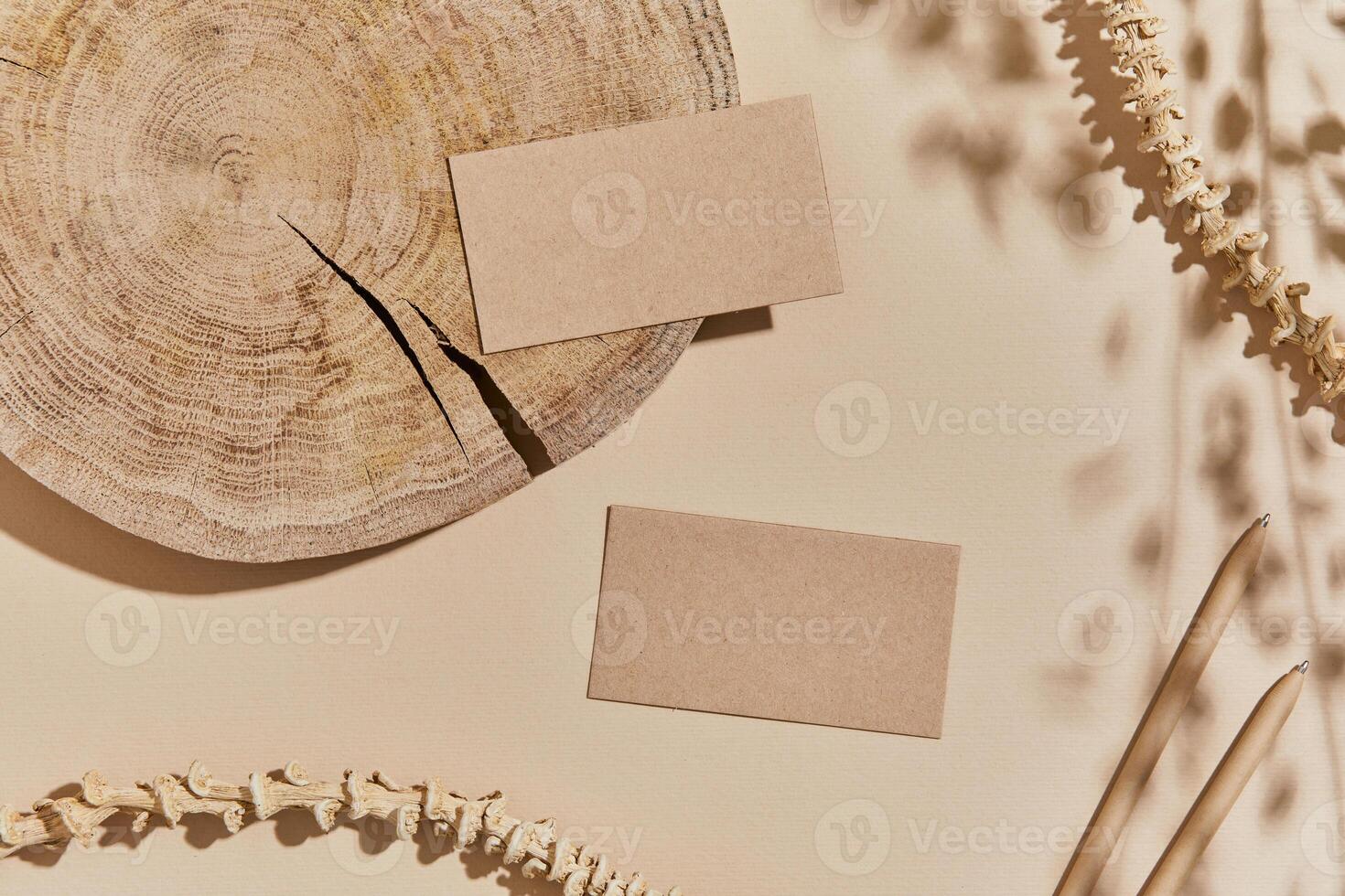 Flat lay of interior composition with mock up visit cards, textile, rocks, wood, natural materials, dry plants and personal accessories. Neutral colors, top view, template. photo