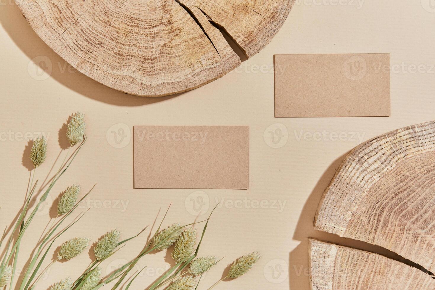 Flat lay of stylish composition with mock up visit cards, wood, dry plants and accessories. Neutral colors, top view, template. photo