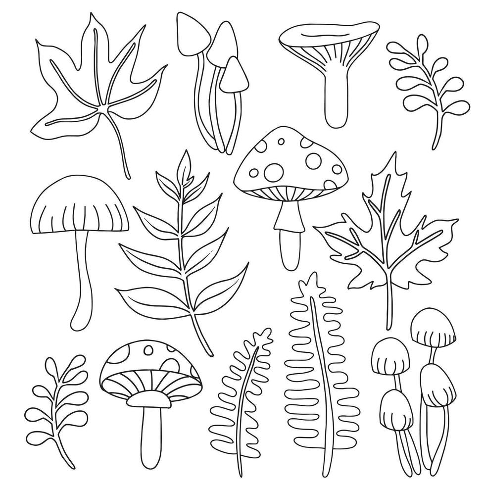 Coloring book. Set of cute autumn leaves and mushrooms. Drawing in doodle style vector