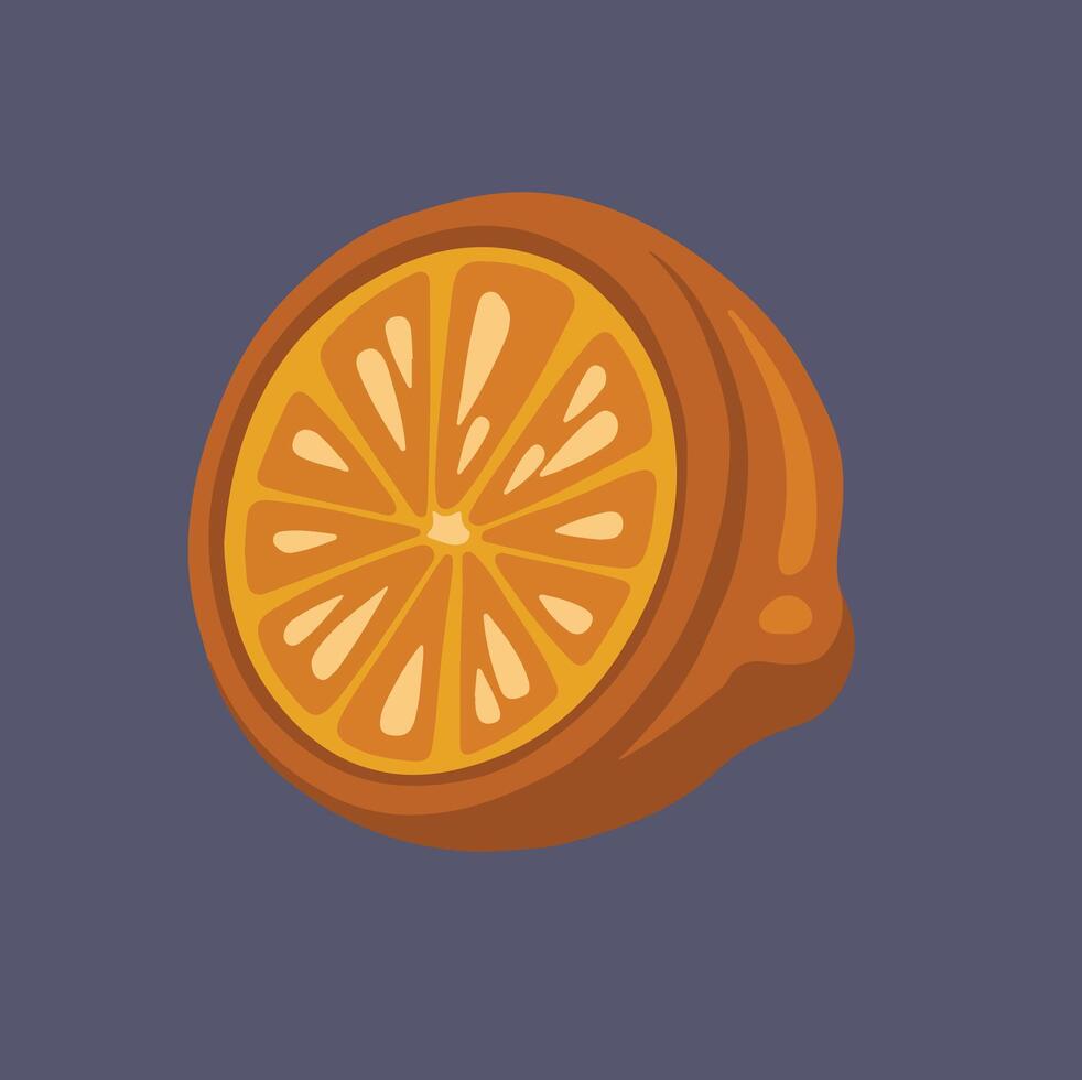 Orange, lemon citrus fruit in section, half hand drawn illustration vector
