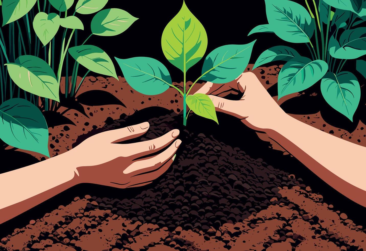 Hands Planting a Young Seedling in Soil vector
