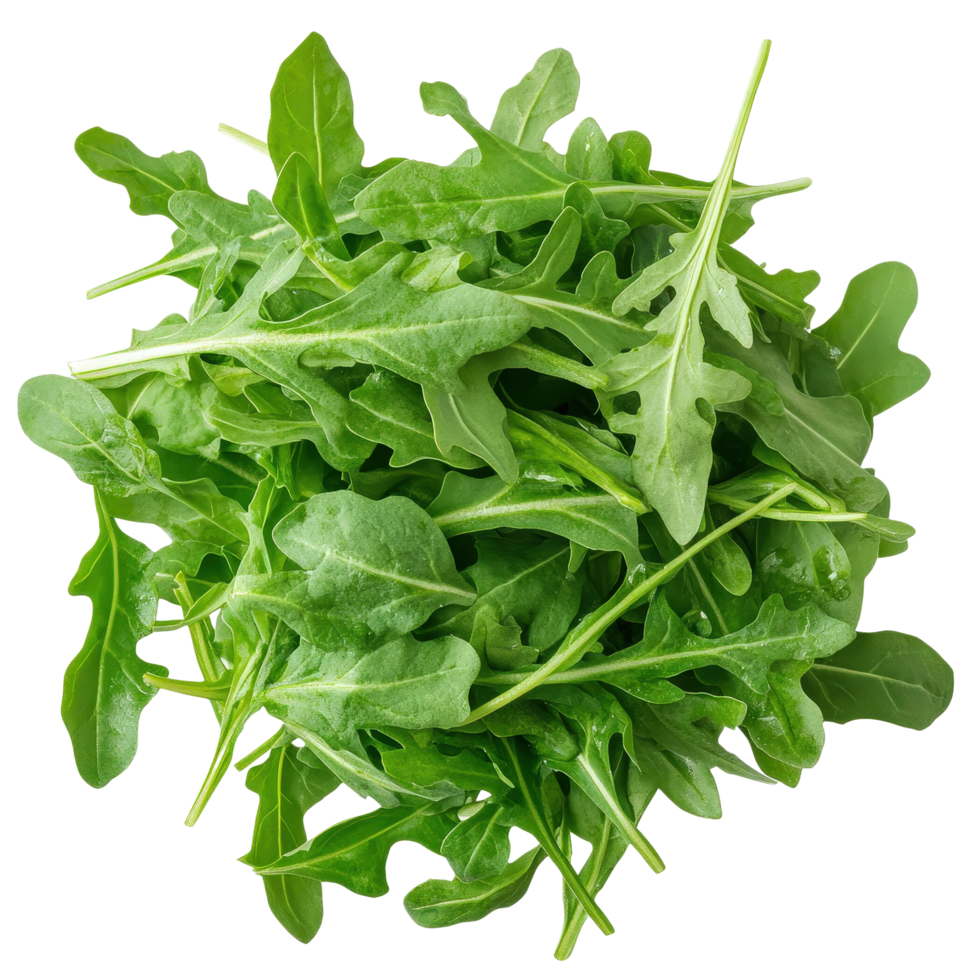 Fresh Arugula Leaves for Culinary Use png