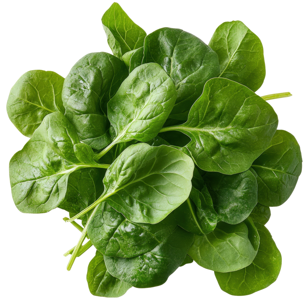 Fresh Green Spinach Leaves for Healthy Dishes png