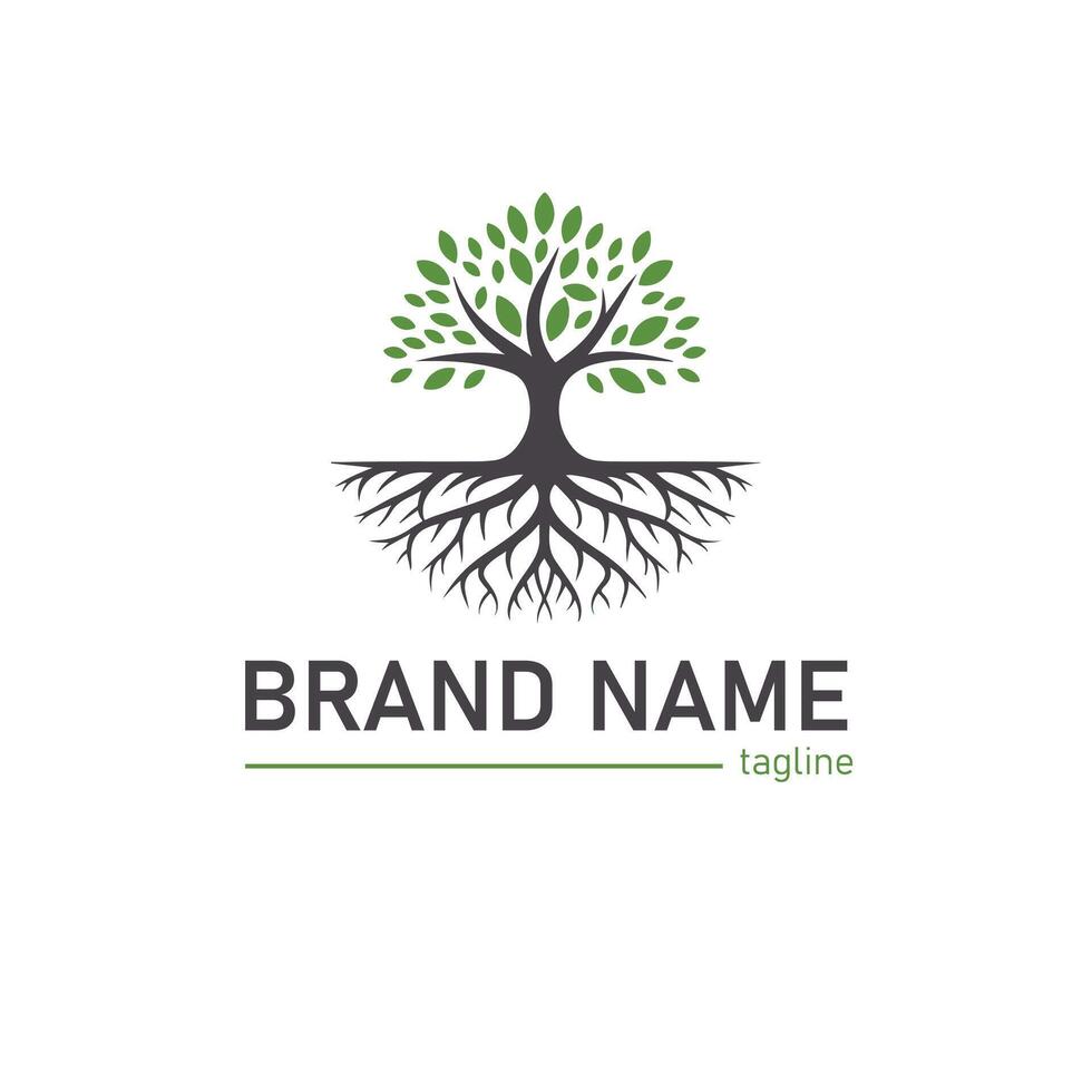 Simple minimalist line art tree logo vector