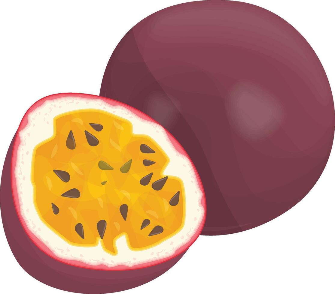 Isolated Passion Fruit Design vector