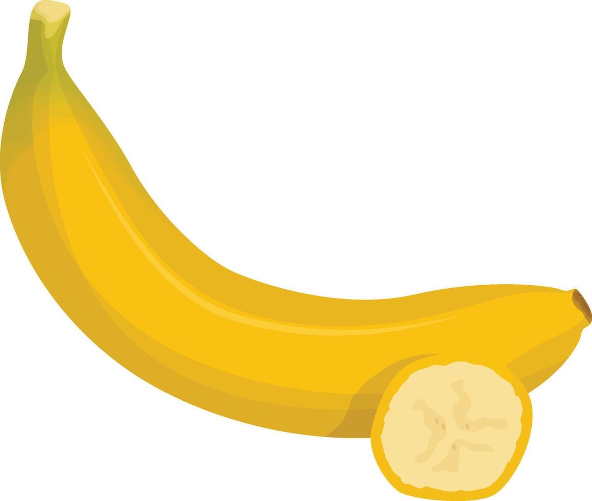 Banana Illustration Design vector