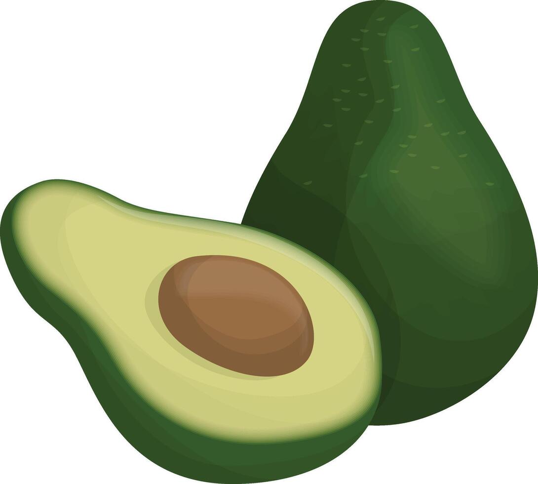 Avocado Fruit Icon vector