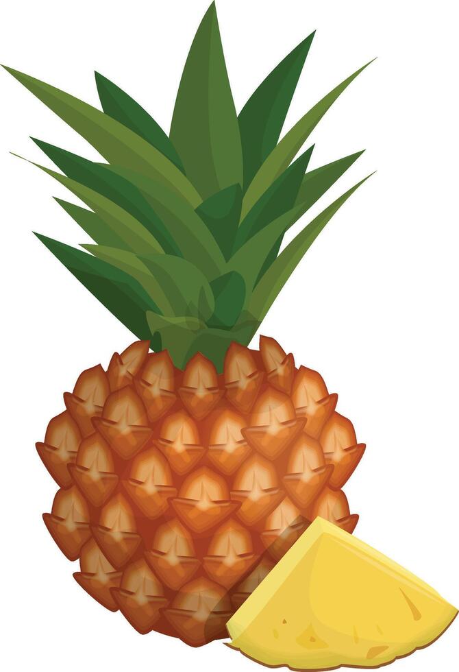 Tropical Pineapple Illustration vector