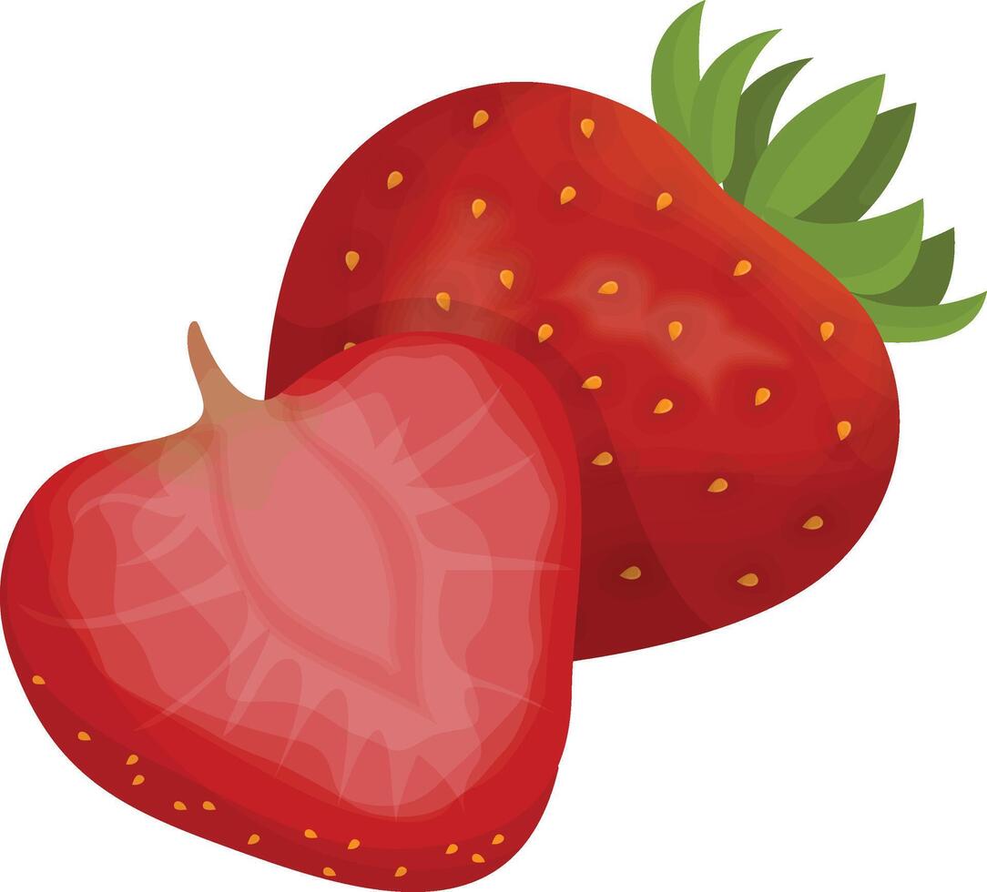 fresh Strawberry icon vector
