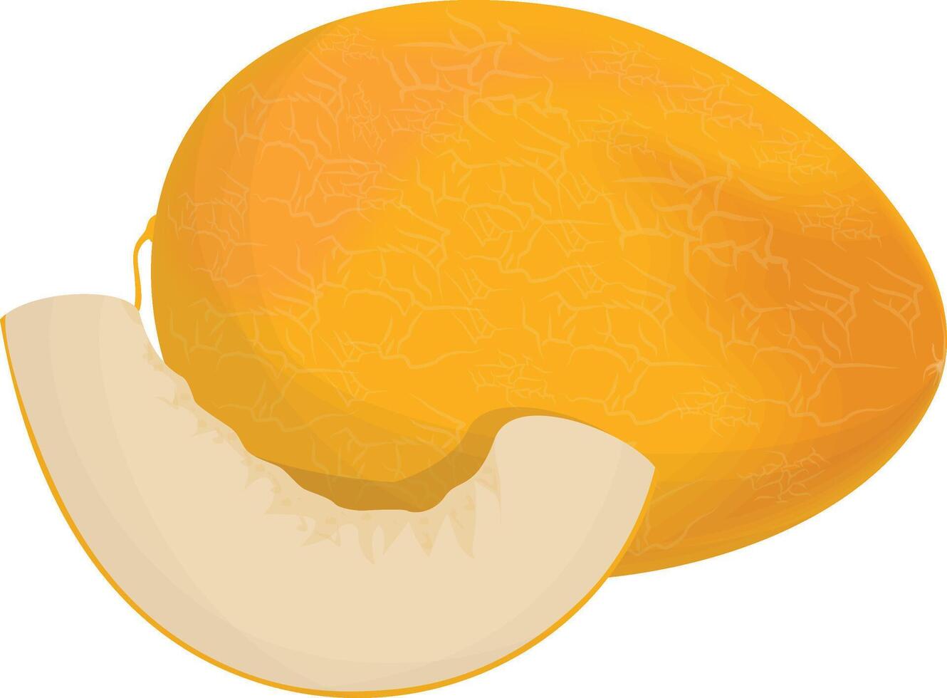 Whole Melon icon vector