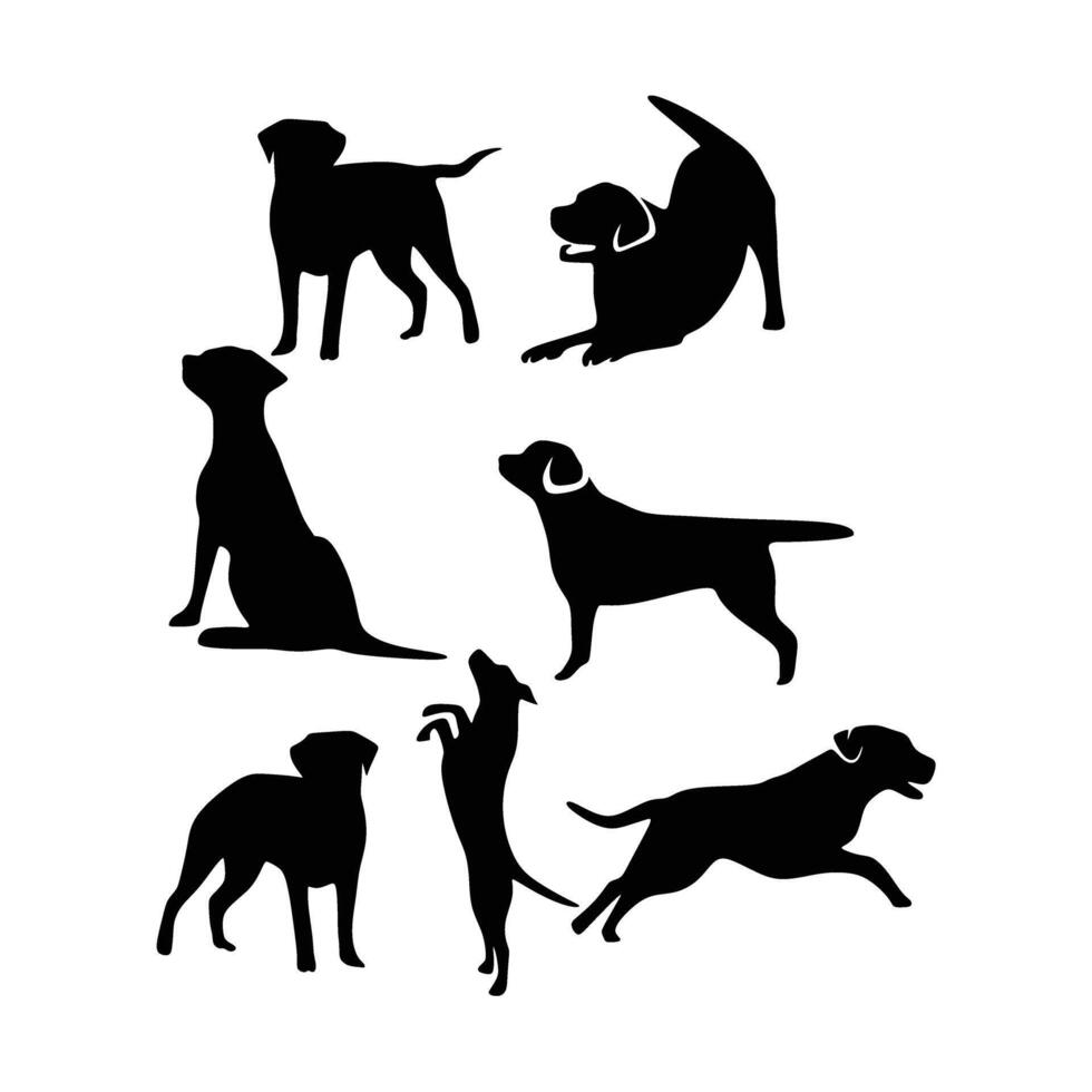 Labrador dog animal silhouette collections vector