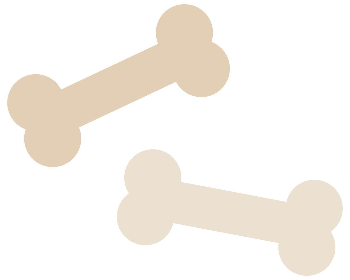 Flat bone icon isolated on white background. vector