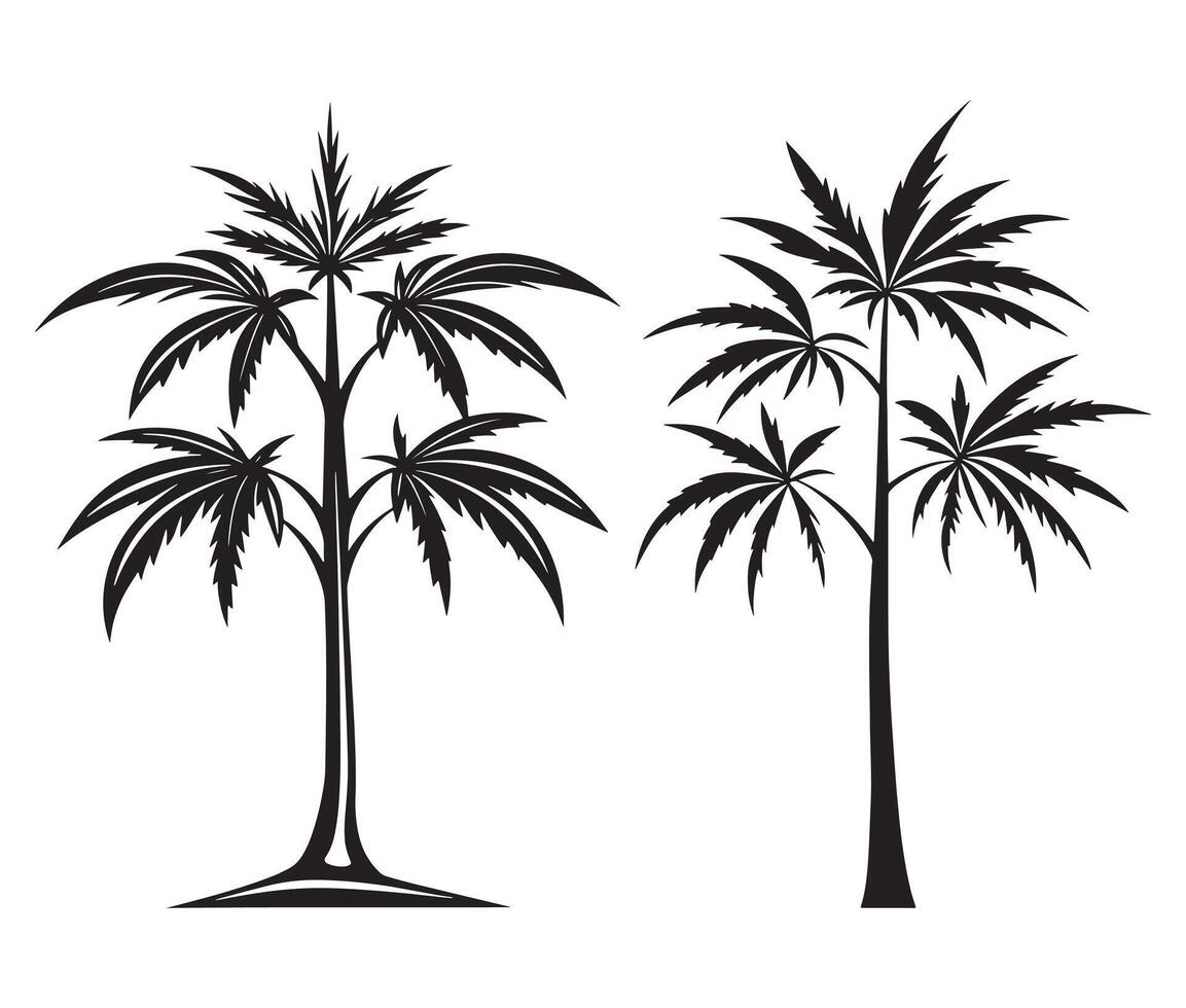 Two palm trees with leaves on them vector