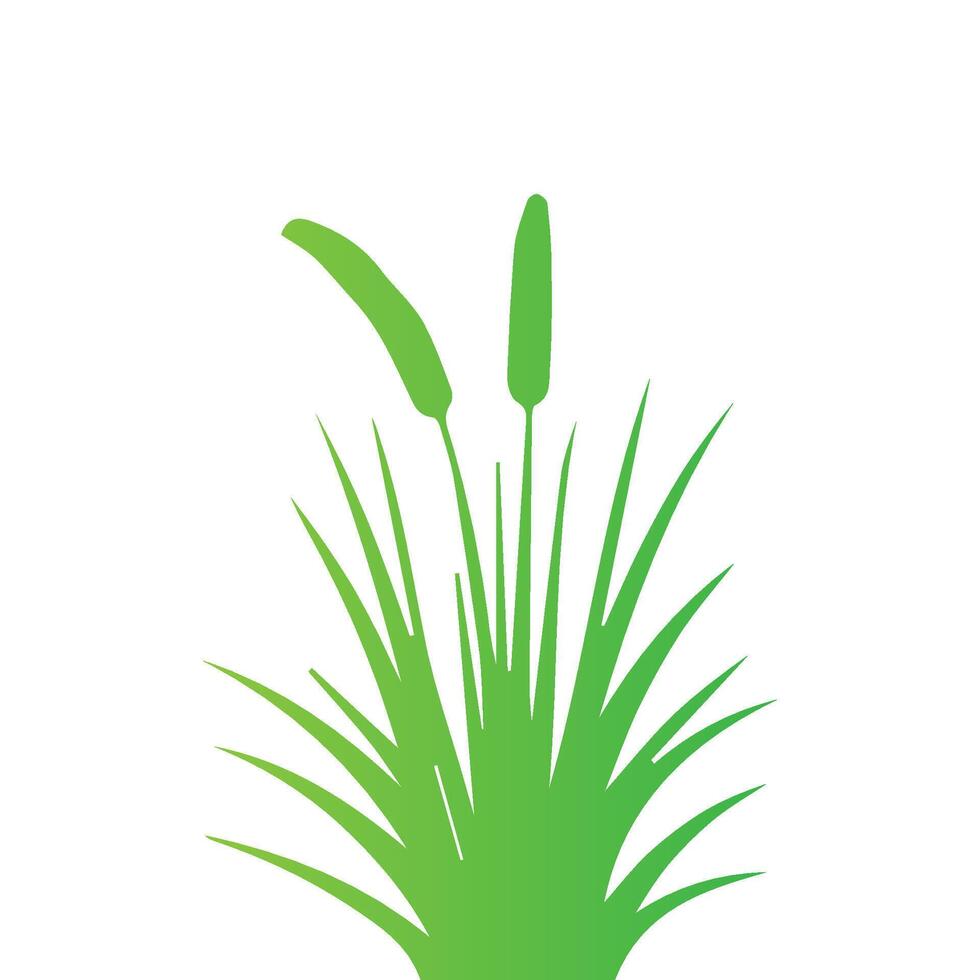 Grass flat design on white background vector