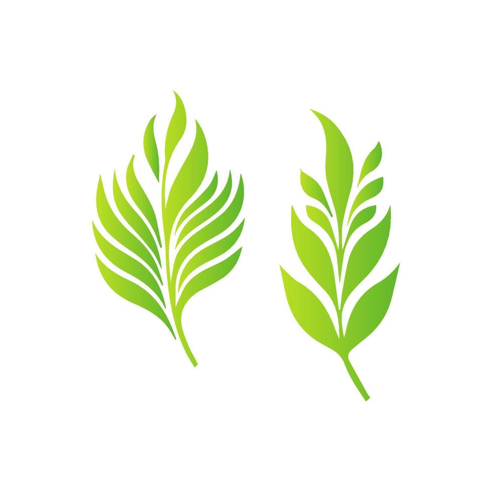 Minimalist Green Leaf Icon vector