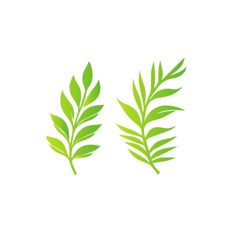 Botanical Green Leaf Artwork vector